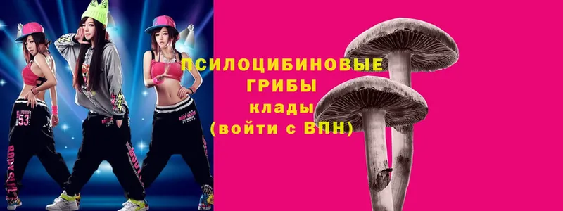 Псилоцибиновые грибы Magic Shrooms  где продают   Болотное 