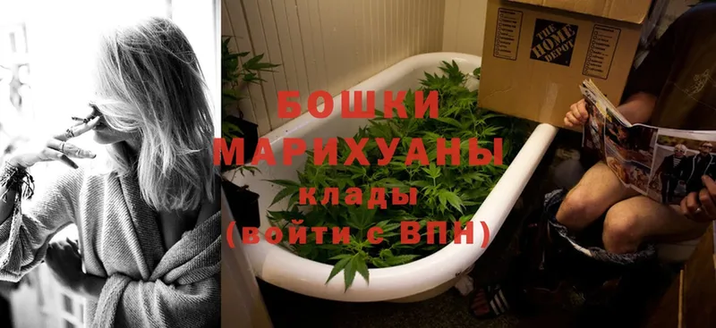 как найти наркотики  Болотное  Бошки марихуана Ganja 